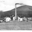 Nemanice, tovrna Wilhelmsdorf